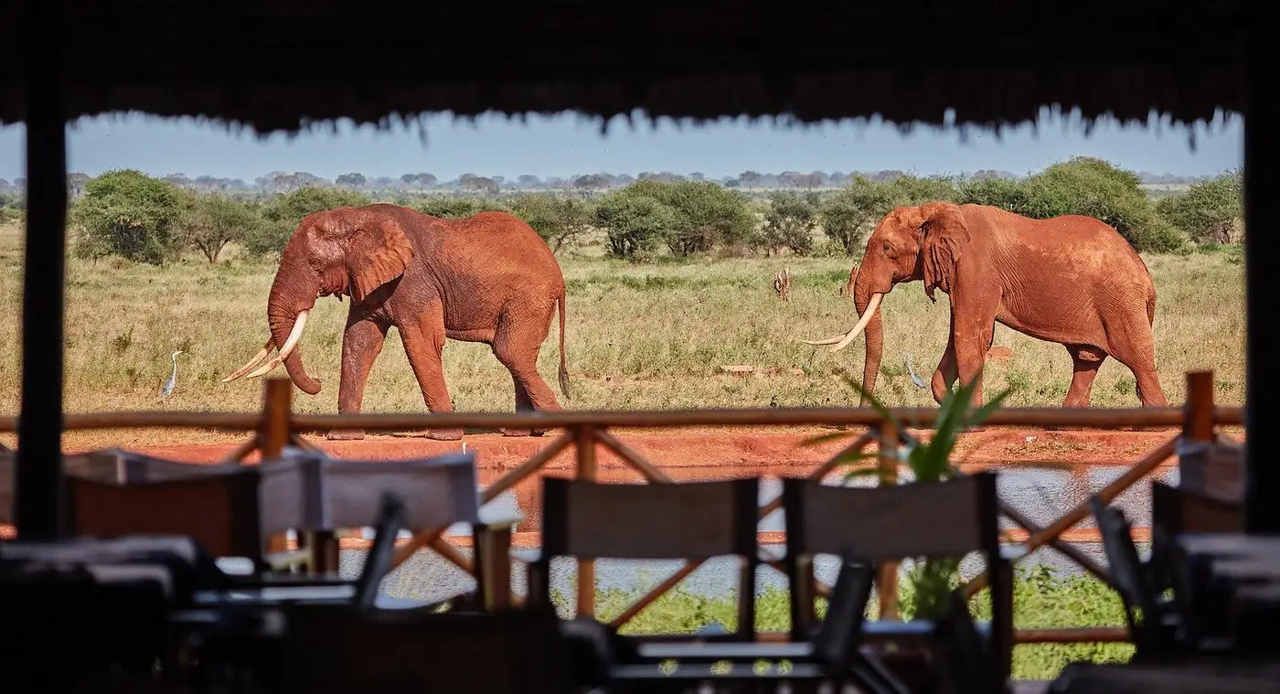 Ngutuni Safari Lodge